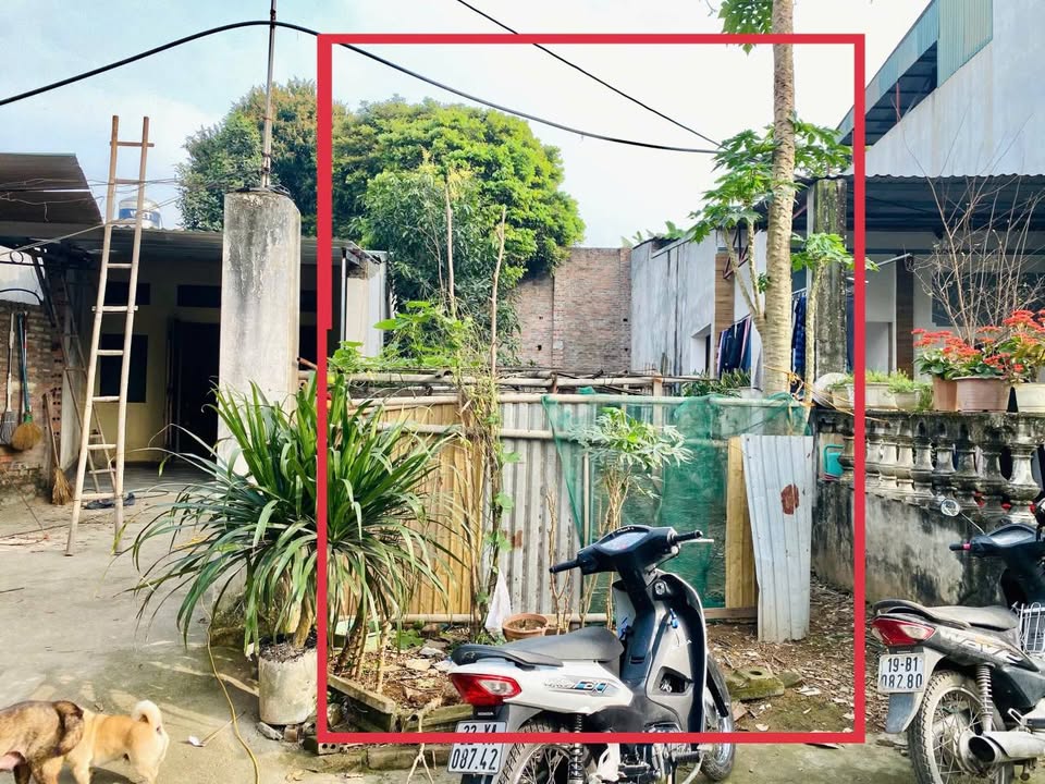 Đất nền Thanh Miếu 90m² - Sổ đỏ chính chủ, xây dựng tự do