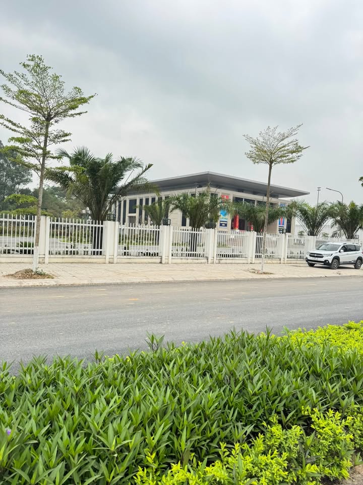 Đất thổ cư Lập Thạch 100m² - Ngay trung tâm, kinh doanh đắc lộc