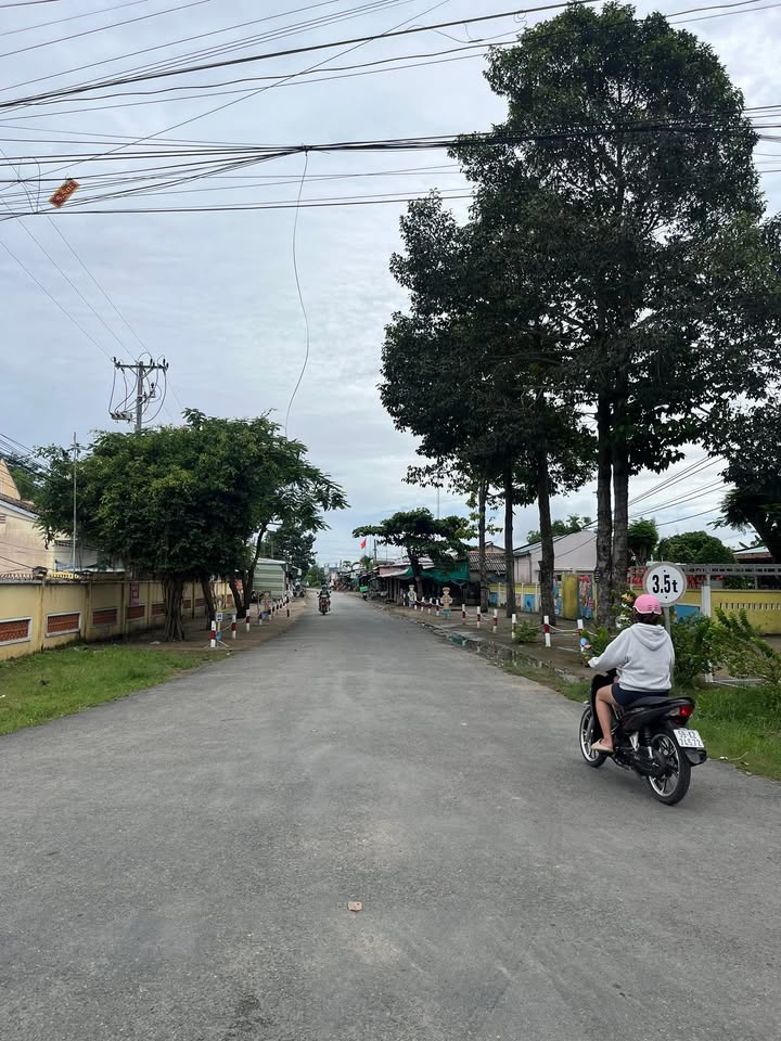 Đất vườn Thạnh Phước 6000m² Bến Tre - Sổ hồng rõ ràng, giá tốt!