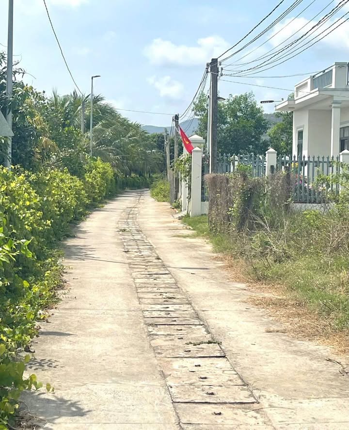 Bán Đất Tặng Vườn Cây Ăn Trái Tam Phước, Bà Rịa - Vũng Tàu - 303m² Thổ Cư