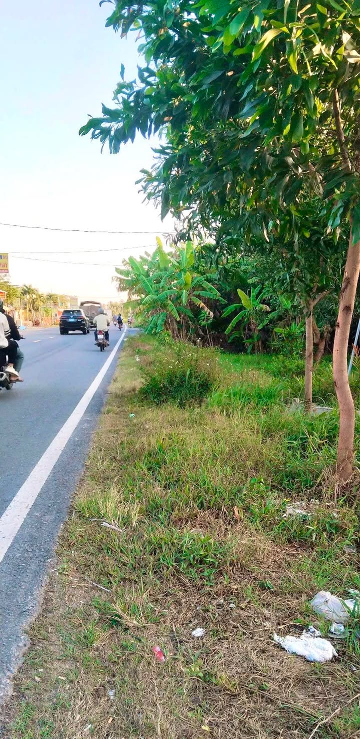 Đất Mặt Tiền QL60 Bến Tre 500m² - Kinh Doanh/Kho Bãi Giá 2.1 Tỷ