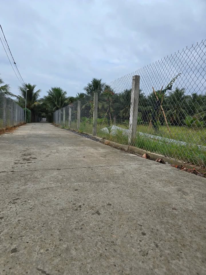 Đất Vườn Phường Sơn Đông, Vĩnh Long 500m² - Đường Ô Tô 7 Chỗ Tận Nơi!