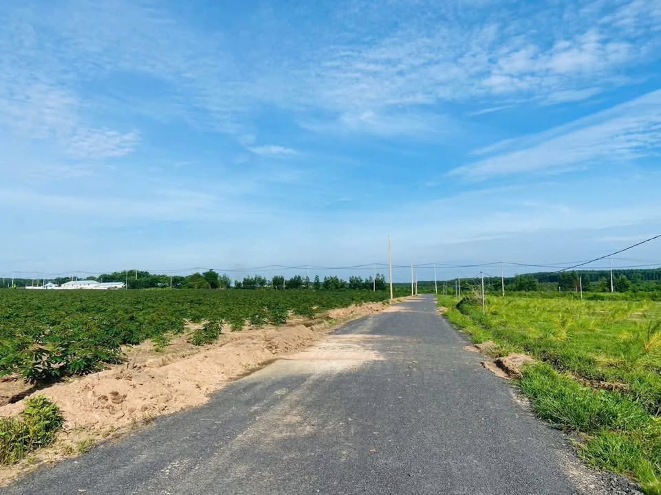 Bán Đất Vườn BRVT 12000m² - 6 Tỷ - Lô Đẹp Mặt Tiền Rộng