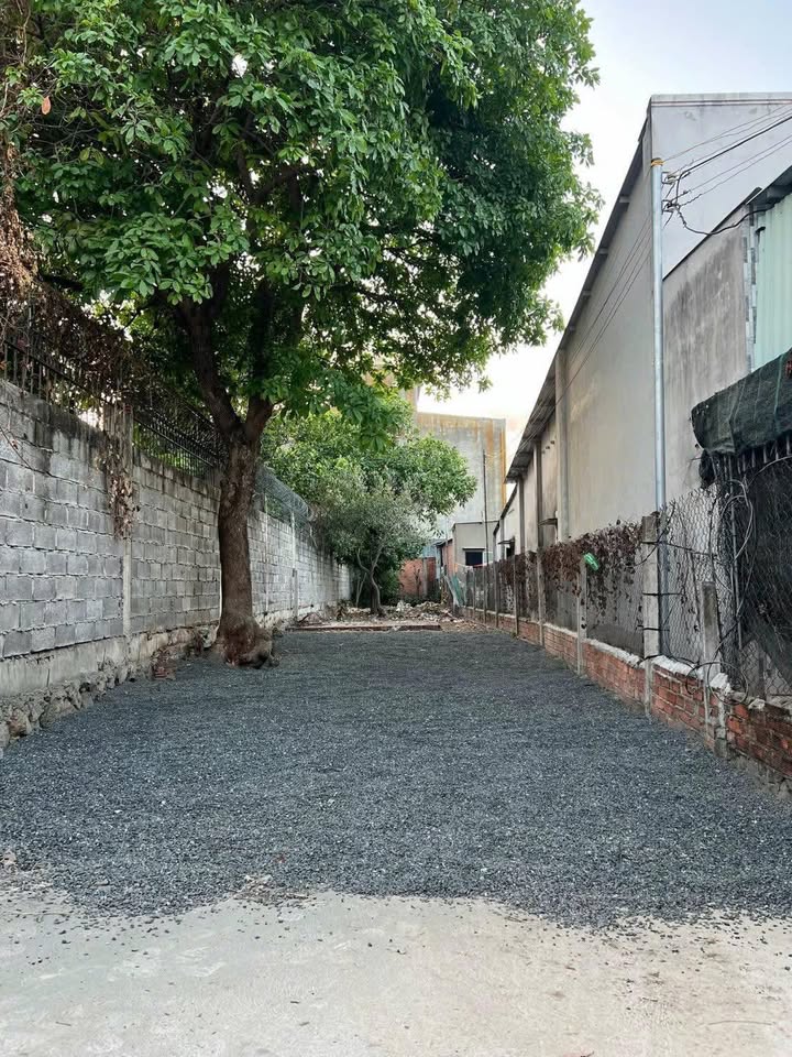 Đất nền Hoàng Diệu 240m² 2.9 tỷ - Hạ tầng hoàn thiện