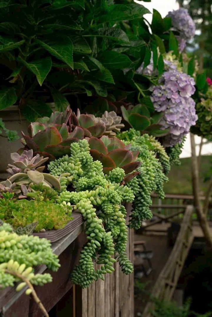 Đất nền Phước Long Thọ 9300m² - Giá tốt, tiềm năng tăng giá!