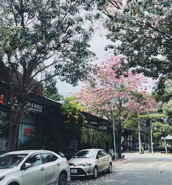 Đất nền 60m² Phường 9, TP Vũng Tàu - Sổ hồng thổ cư, Đường thông ô bàn cờ