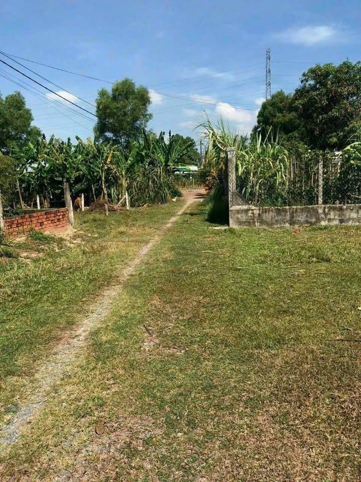 Đất nền Trung Lập Hạ Củ Chi 2749m² - Tiềm năng tăng giá vượt trội!