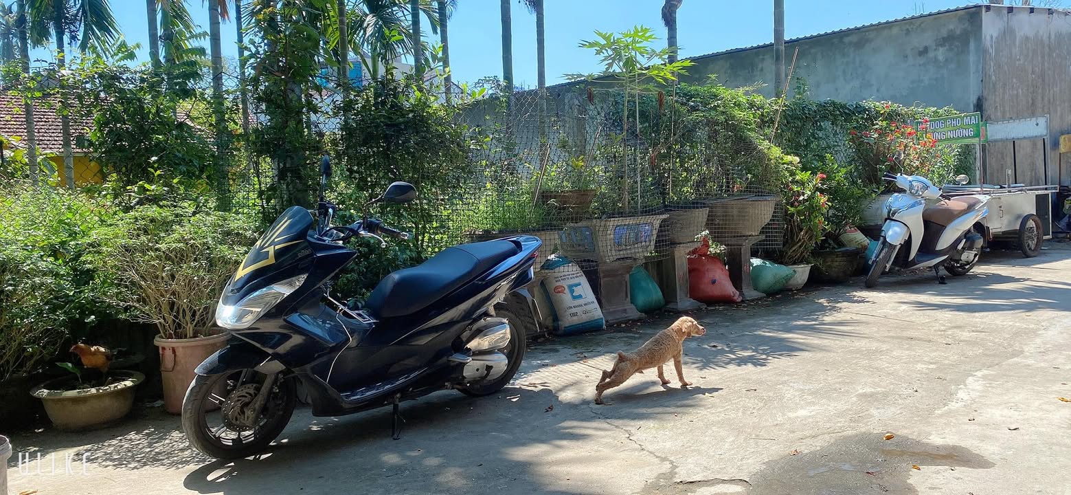 Đất nền Trần Cẩm, TP Quảng Ngãi 96m² giá 1.49 tỷ - Sổ đỏ chính chủ