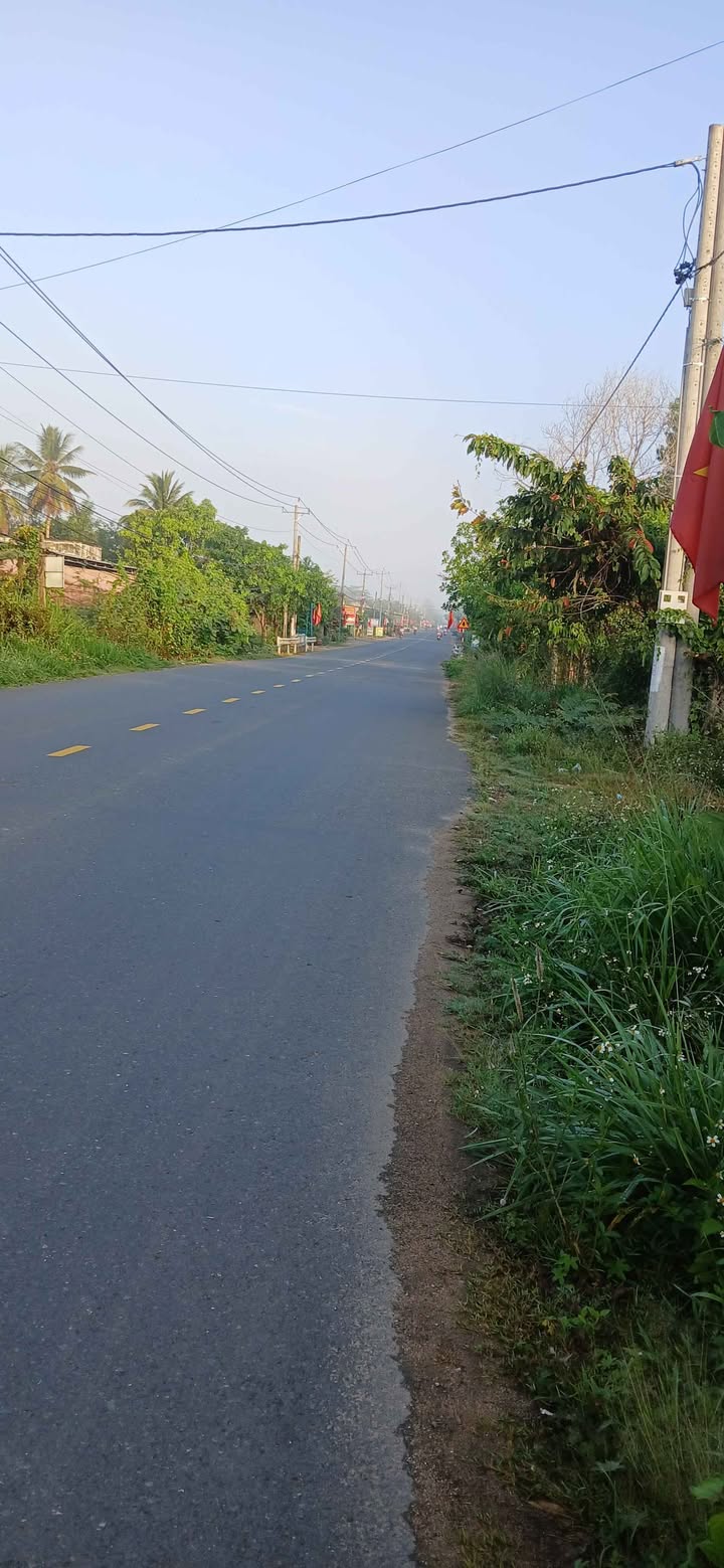 Đất nền Đức Linh 1566m² - Sổ đỏ chính chủ, vị trí vàng!