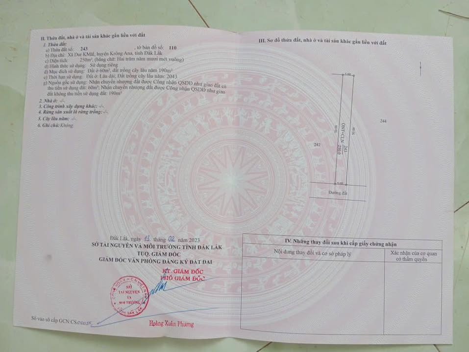 Đất nền Xã Dukman 250m² giá 145 triệu - Sổ đỏ chính chủ!