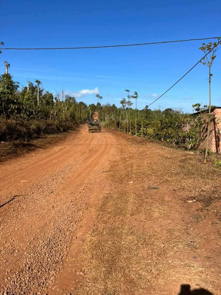 Bán Rẫy Cà Phê Sầu Riêng 7300m² Cư M'gar - Giá Tốt, Bao Tên