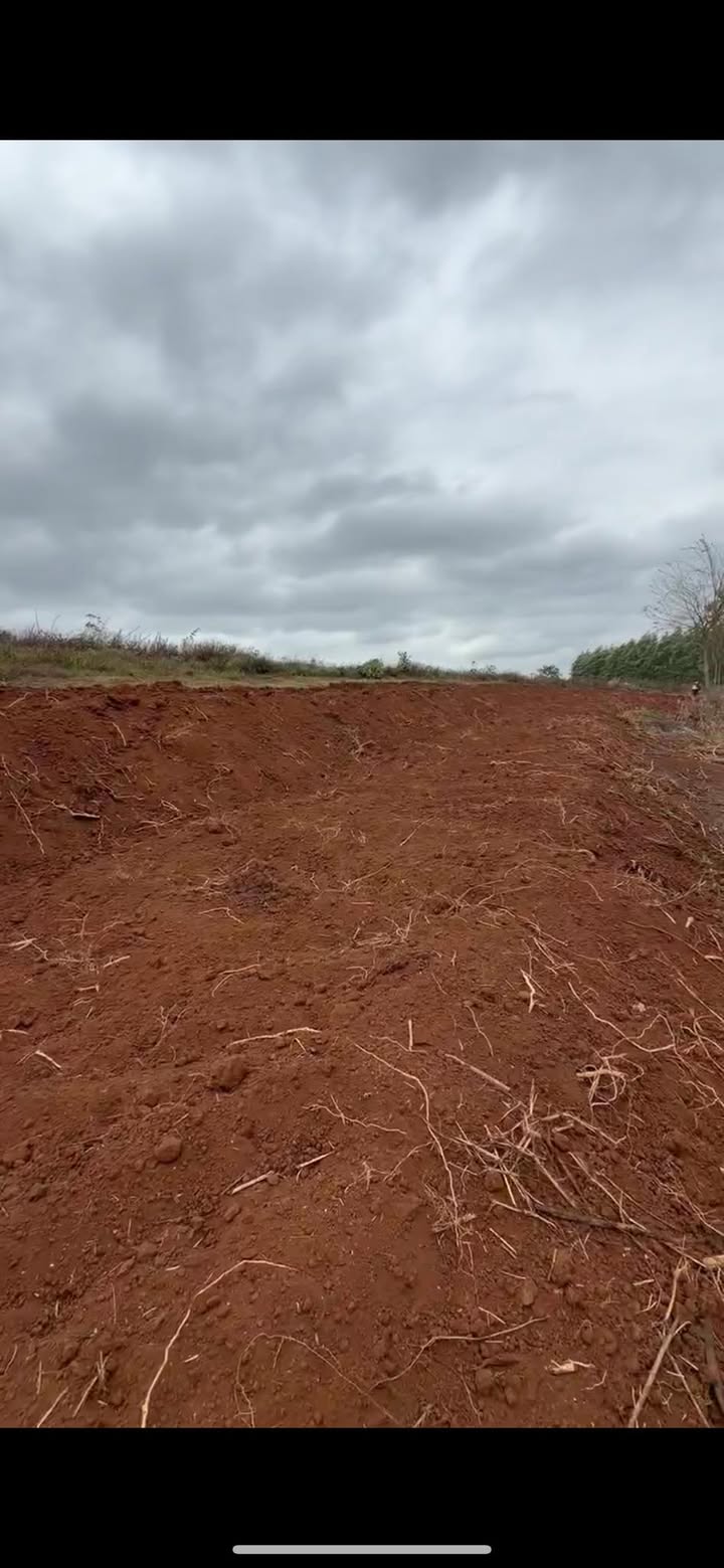 Đất Nền Eakpam Cư M'gar 4500m² - Giá Chỉ Từ 1 Tỷ