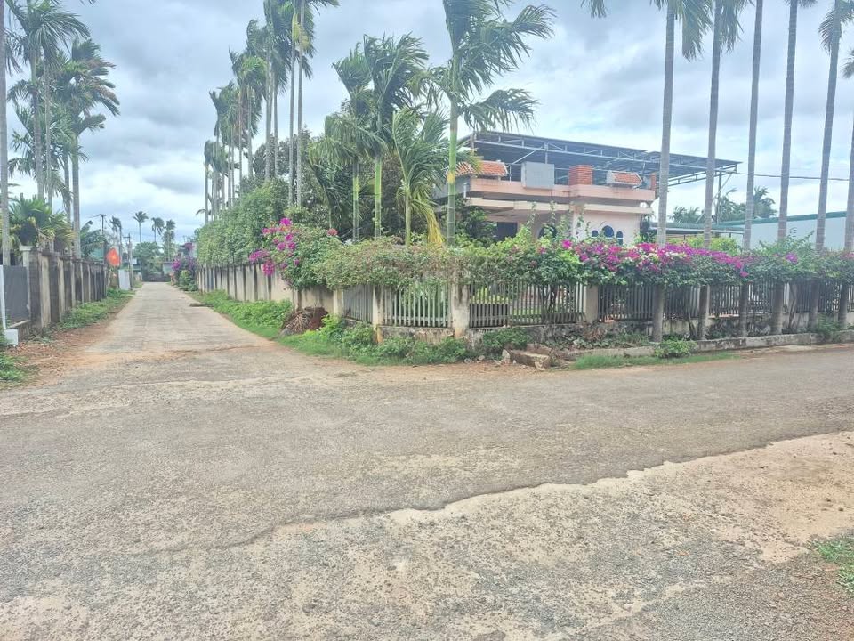 Đất nền Buôn Ma Thuột 210m² - Sổ đỏ chính chủ, đường to ô tô