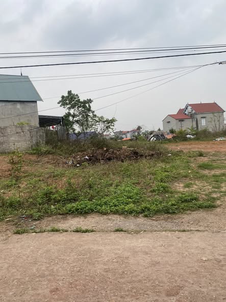 Đất nền Lục Sơn, Lục Nam 300m² giá 800 triệu - Tiềm năng tăng giá!