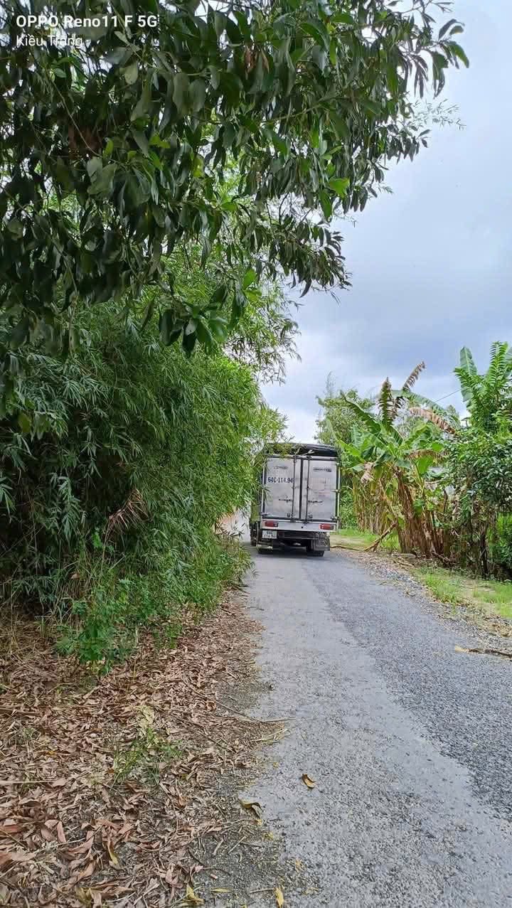 Đất nền Mỹ Thuận, Bình Tân 7750m² - Đường to ô tô, view sông!