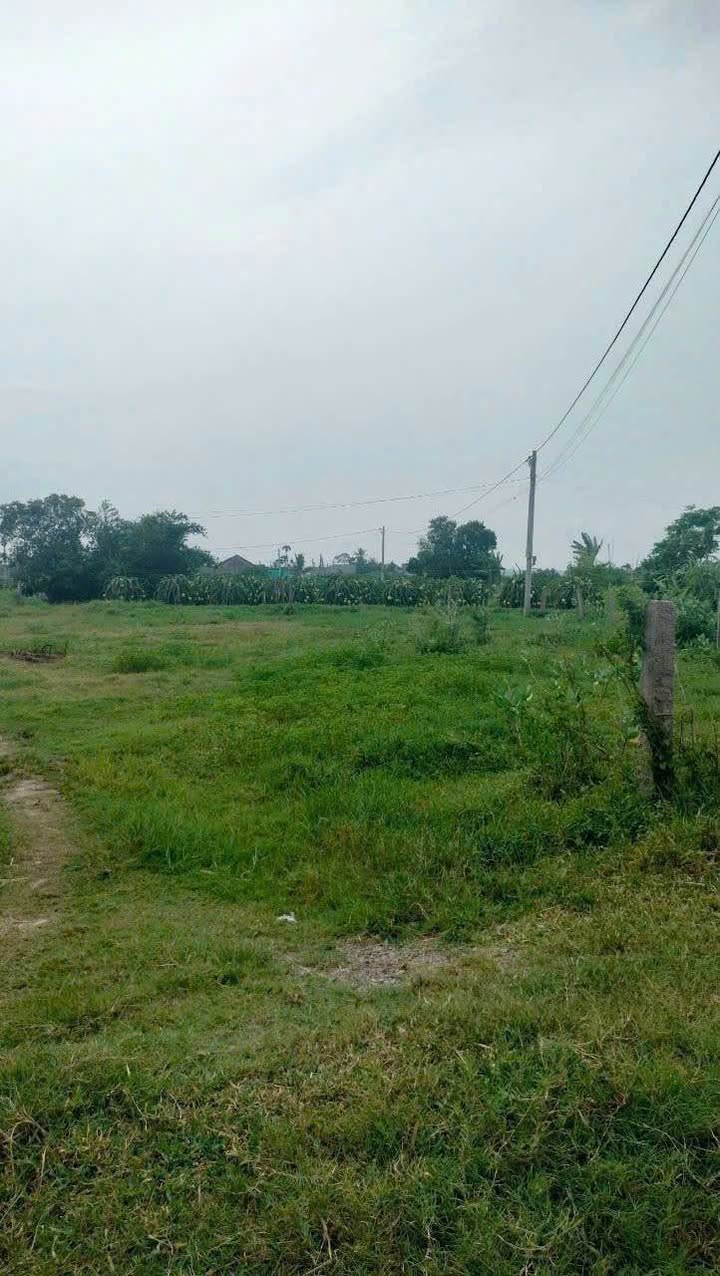 Đất nền Phan Thiết 900m² - Sổ đỏ chính chủ, thổ cư sẵn