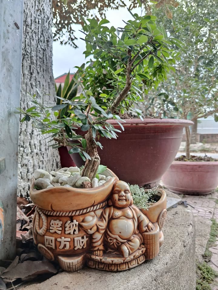 Đất Nền Vàng Trường Thi, Thanh Hóa 86m² - Sổ Đỏ Chính Chủ, Giá Tốt