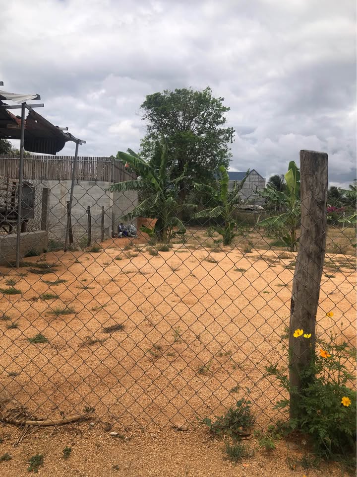 Bán Nhanh Đất Nền 500m² Tân Hội, Ninh Hải - Sổ Đỏ Rõ Ràng