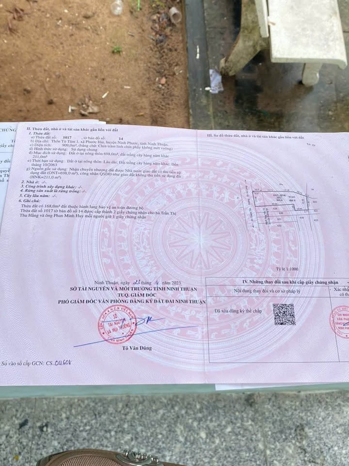 Nhà vườn Xã Phước Hải 909m² - Đầu tư sinh lời cực đỉnh!