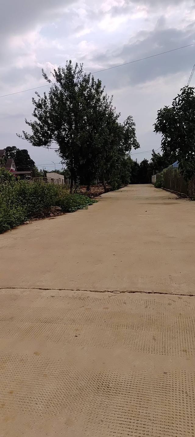 Đất nền Thị trấn Nam Ban 500m² - Tiềm năng tăng giá!