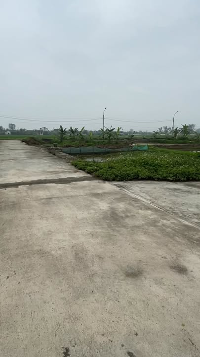 Đất Đấu Giá 2 Mặt Tiền 190m² Xã Tăng Thành, Yên Thành - Giá Tốt Đầu Tư