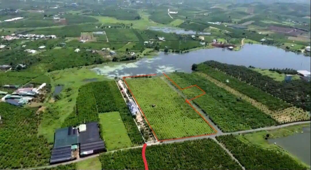 Đất nền Phường 1 Bảo Lộc 2.3ha - Tiềm năng tăng giá vượt trội!