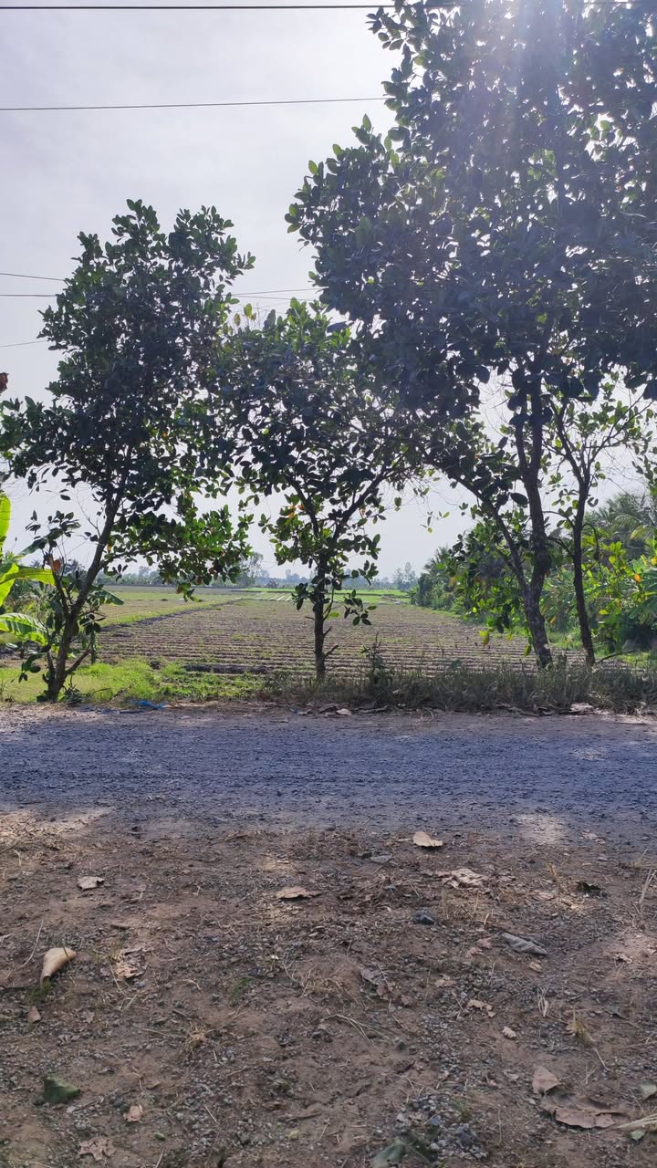 Đất cho thuê 1800m² Ấp Phú Hạ 2, Chợ Mới - Hoạt động ngay!