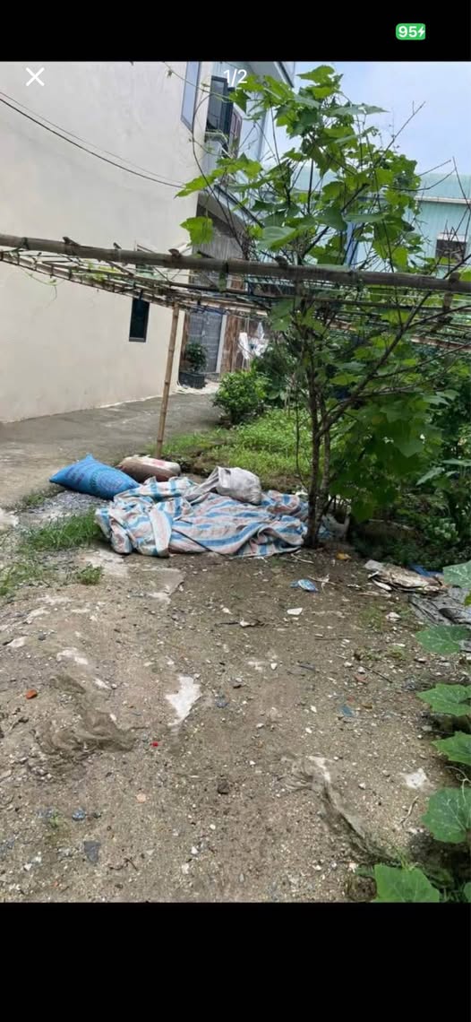 Bán Gấp Đất Lô Góc 54m² Ngõ Liên Hà, Nam Định - 1.56 Tỷ