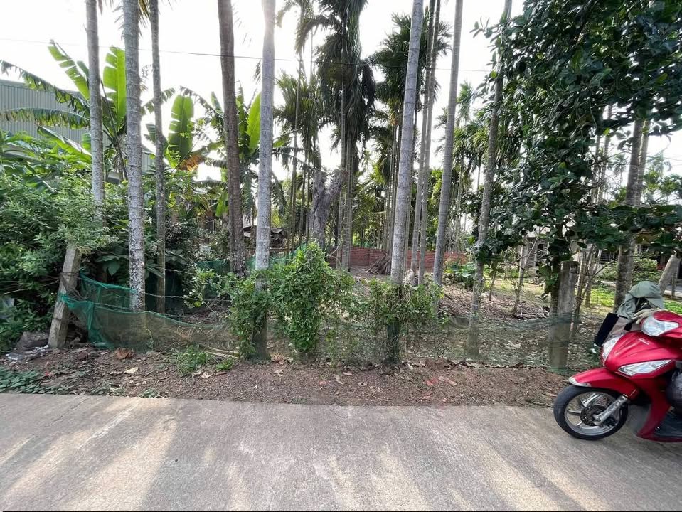 Đất nền Thanh Khê 100m² gần biển - Tiềm năng đầu tư hấp dẫn!