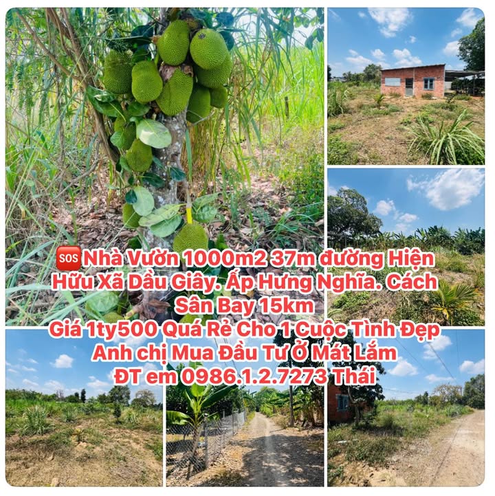 Đất Vườn Đồng Nai 1000m² - Giá 1.5 Tỷ, Sẵn Sàng Đầu Tư Sinh Lời