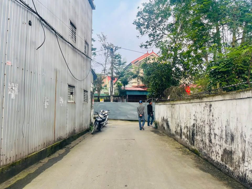 Bán 2 Lô Đất Vàng Phường Hưng Lộc, TP Vinh - 52m² - Sẵn Sàng Xây Nhà