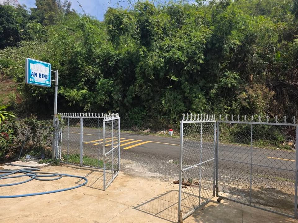 Bán gấp 3600m² đất cafe Tà Đùng, Di Linh, Lâm Đồng - Giá 1.3 tỷ