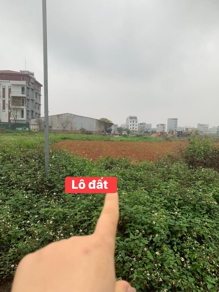 Đất nền Phú Thọ 125m² mặt tiền 5m - Tiềm năng kinh doanh sinh lời cao