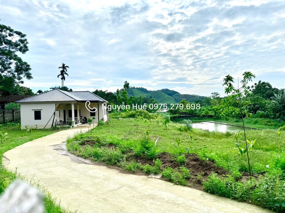 Đất nghỉ dưỡng Yên Bài, Ba Vì 3000m² - Nghỉ dưỡng lý tưởng!