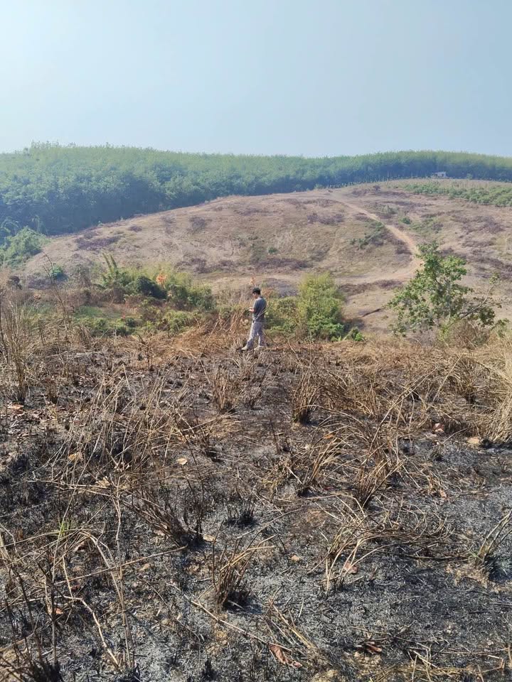 Đất nền 2.3ha Xã Phú Riềng, Bình Phước - Tiềm năng tăng giá vượt trội!