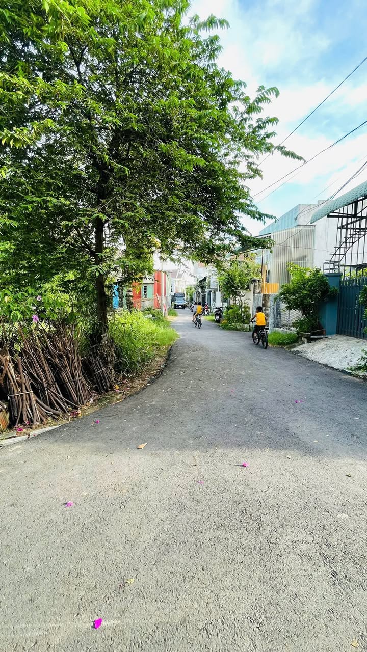 Đất nền Tuy Phước, Bình Định 65m² - Sổ đỏ chính chủ!