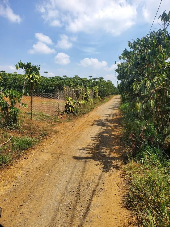 Đất Vườn 1105m² H.Bảo Lâm - Giá Ngộp 1.15 Tỷ Chính Chủ