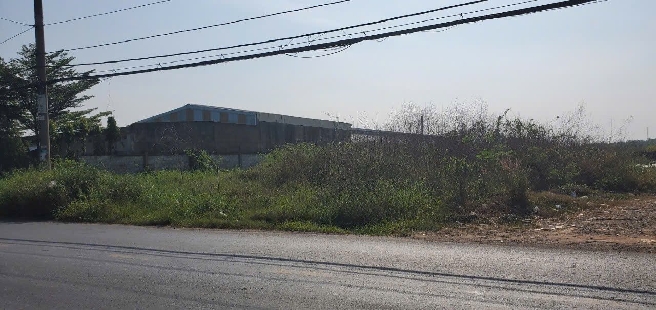 Đất nền Củ Chi 17.773m² - Hai mặt tiền nhựa, nở hậu, giá 135 tỷ