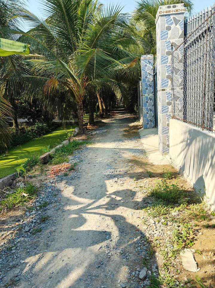 Đất thổ cư Chợ Gạo 365m² - Sổ sẵn, 180 triệu, gần chợ, trường học