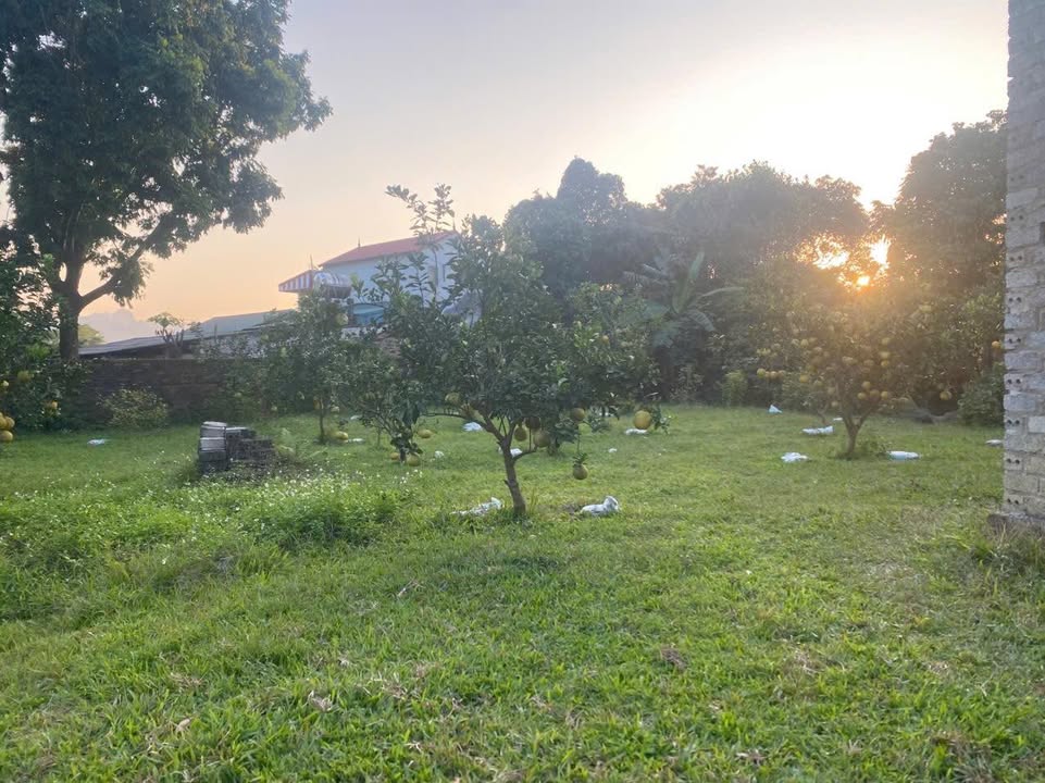 Bán Đất Nền 1000m² Lạc Thủy, Hòa Bình - Giá Đầu Tư 1.55 Tỷ