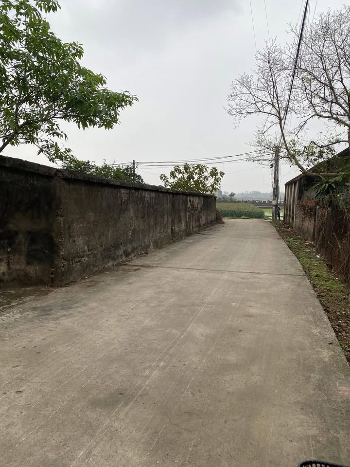 Đất nền Hiệp Hòa, Bắc Giang 137.5m² – Đường ô tô tránh, giá 800 triệu!