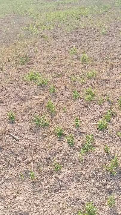 Đất nền Ea Pô, Cư Jút 33600m² - Sổ đỏ chính chủ, tiềm năng tăng giá!