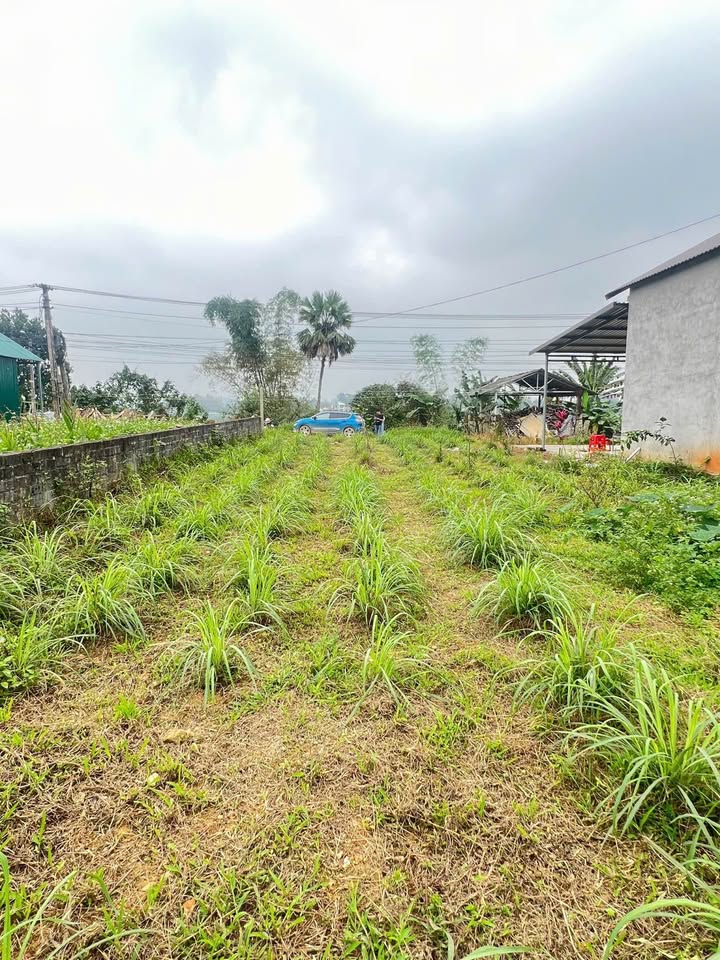 Bán đất mặt Tỉnh lộ 166, Lục Yên, Yên Bái - 180m², 4 tỷ