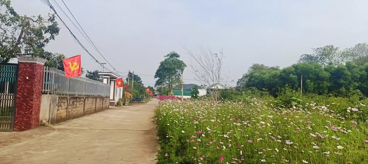 Đất nền Nghĩa Đàn 170m² - Sổ đỏ thổ cư, giá chỉ 1 tỷ - Tiềm năng tăng giá mạnh