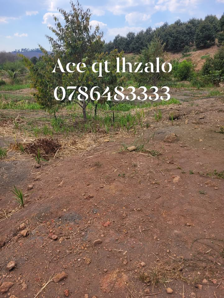 Đất vườn Xã Đoàn Kết, Bù Đăng 2808m² - Sinh thái xanh, đầu tư lý tưởng!