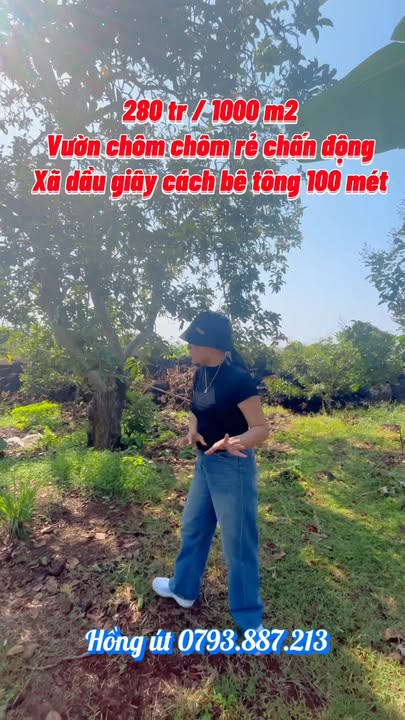 Đất vườn Bàu Hàm 2 Thống Nhất 9.400m² - Giá đầu tư tốt, sổ hồng sẵn!