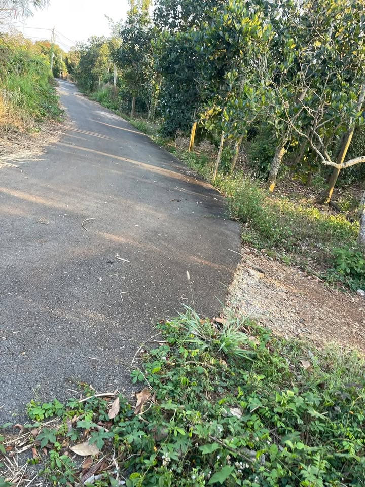 Đất Nền KCN Sonadezi Châu Đức 612m² - Sổ Đỏ Rõ Ràng