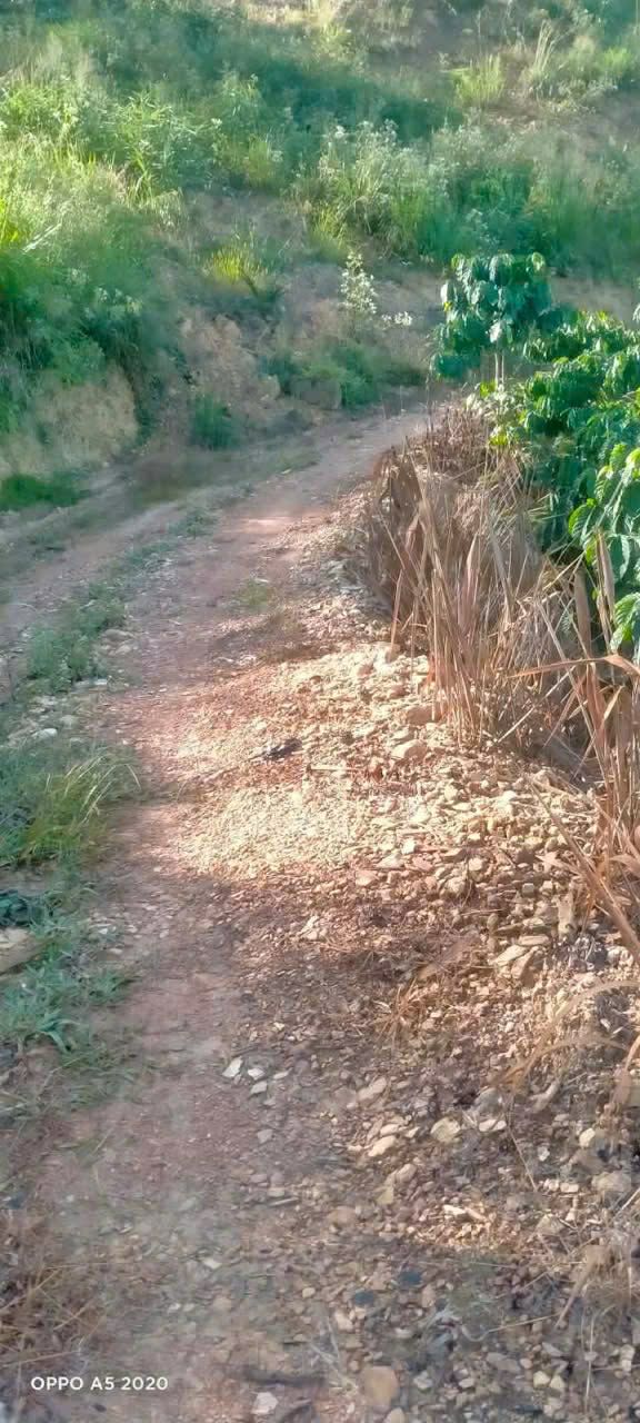 Đất Phúc Thọ - Lâm Hà 10.000m², Sổ đỏ chính chủ