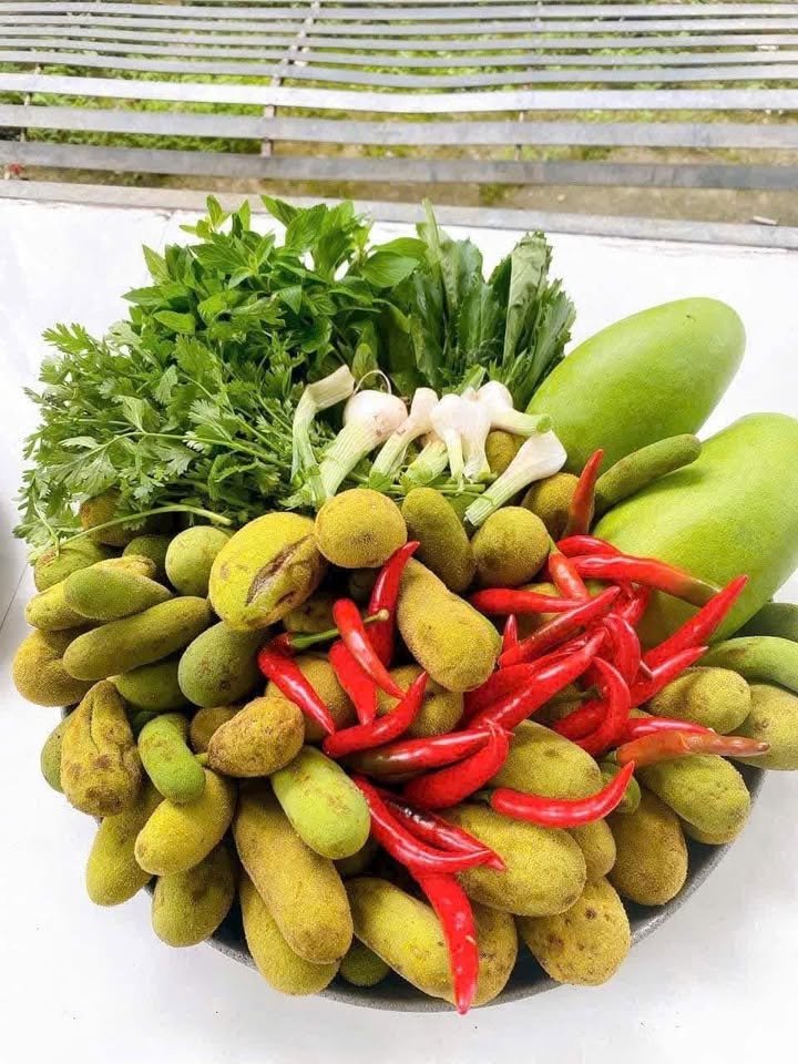 Bán Đất Nền Hòa Xuân Cẩm Lệ 146m² - Giá Tốt Chính Chủ