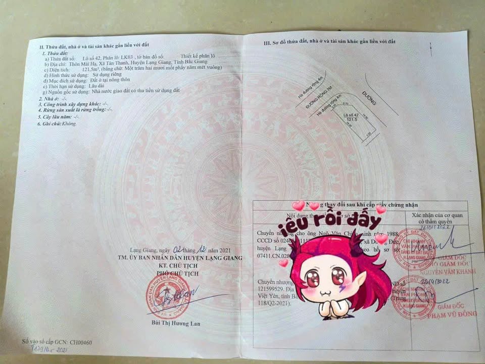 Đất nền Tân Chi 121m² - Lô góc, chính chủ cắt lỗ 300 triệu!